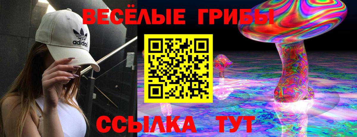 Псилоцибиновые грибы прущие грибы  Вход с VPN  цены   Серпухов 